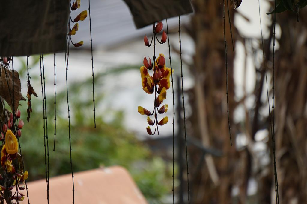 Mountain House Manizales Hotel Zewnętrze zdjęcie